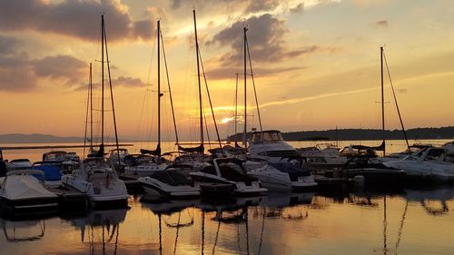 Sailboats moored in harbor at sunset