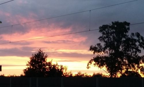 Silhouette of trees at sunset