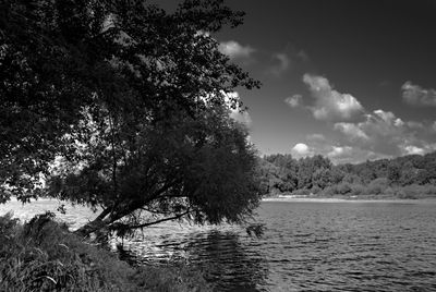 Scenic view of lake and trees against sky