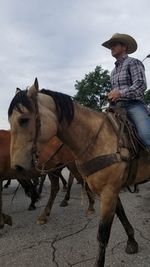 Low section of person riding horse