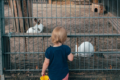 Rear view of boy standing against fence