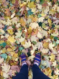 Low section of person standing on autumn leaves