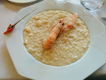 High angle view of food in plate