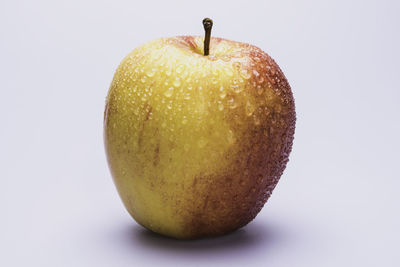 Close-up of fruit against white background