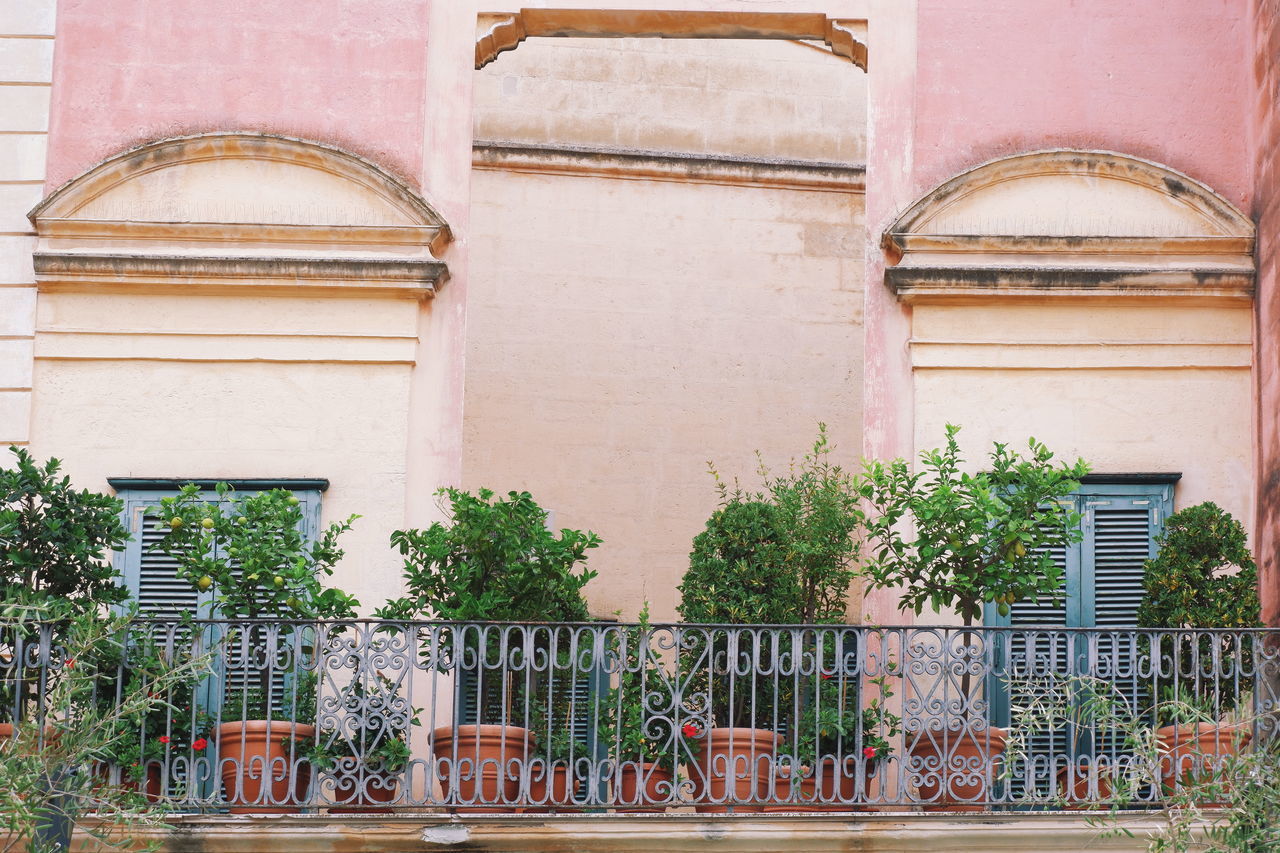 POTTED PLANTS ON BUILDING