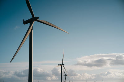 environmental conservation