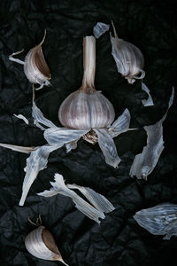 High angle view of various flowers in black background