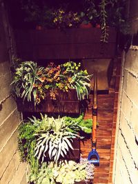 High angle view of potted plants in yard