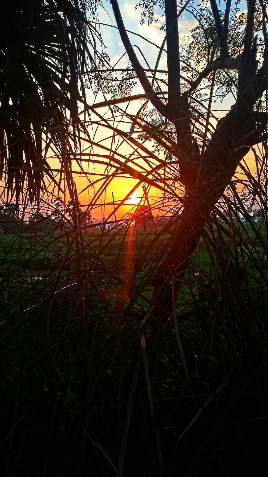 Bodh Gaya