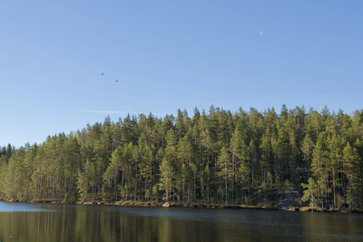 Scenic view of lake against clear sky