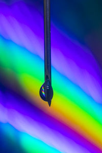 Close-up of water drops on multi colored light