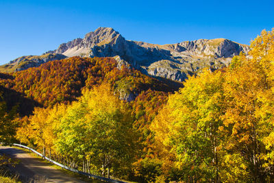 Scenic view of trees and mountains against clear sky