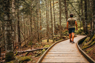 Rear view of man walking on footpath in forest