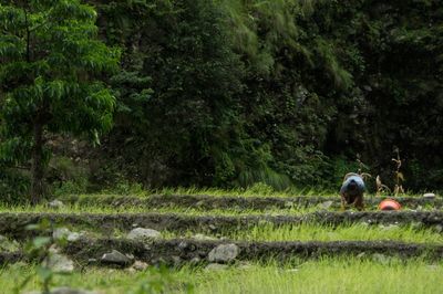 Woman working on farm 