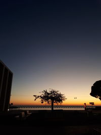 Silhouette trees against clear sky during sunset