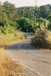 Road amidst trees and plants against sky