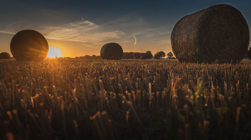 Straw bales during sunrise near horst / hannover