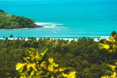 Scenic view of sea and trees