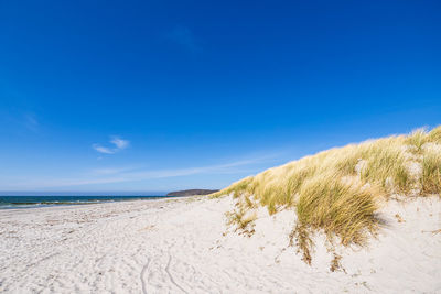 Scenic view of beach against clear blue sky