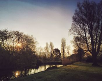 Bare trees at sunset