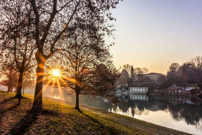 Trees by river against sky during sunset