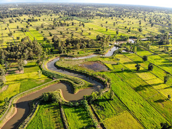 Aerial view of agricultural field