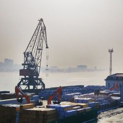 Cranes at harbor during winter