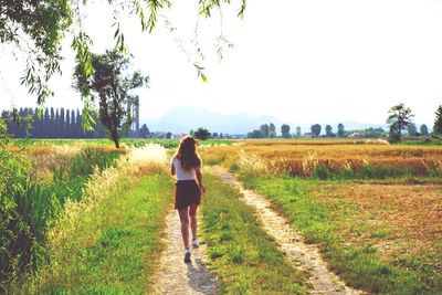 Rear view of woman walking on field