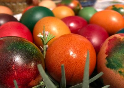 Close-up of multi colored candies