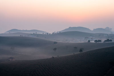 Scenic view of landscape during sunset