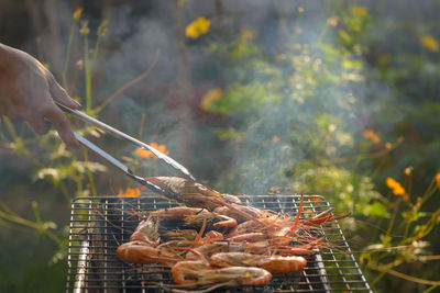 Cropped image of woman cooking prawns over barbecue grill at back yard