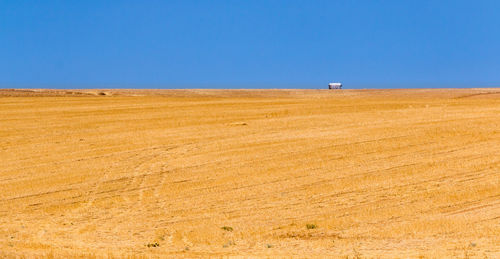 Scenic view of field against clear blue sky