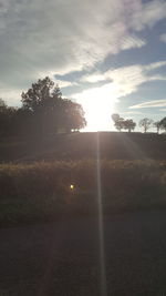 Sunlight streaming through trees on field against sky at sunset