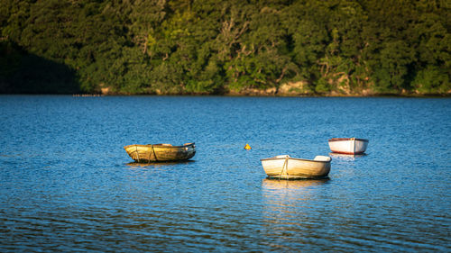 Boats in lake against trees