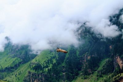 Scenic view of mountain against sky