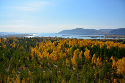 Scenic view of land and trees against sky