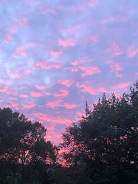 Low angle view of silhouette trees against sky during sunset