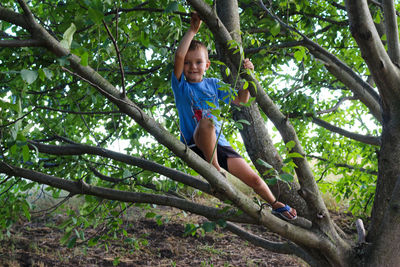 Low angle view of girl on tree