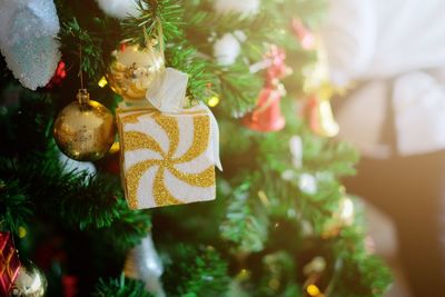 Close-up of christmas decoration hanging on tree