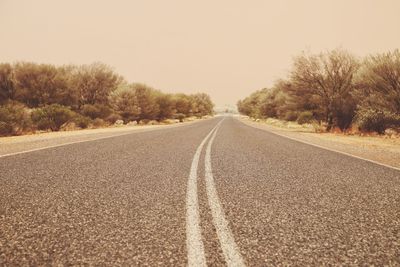 Surface level of empty road along trees