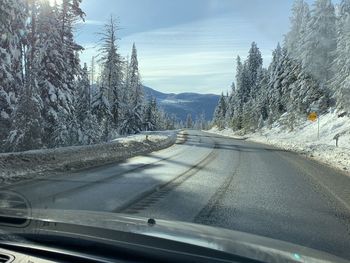 Road amidst trees seen through car windshield