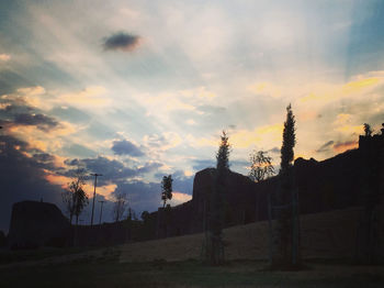 Silhouette trees on field against sky during sunset