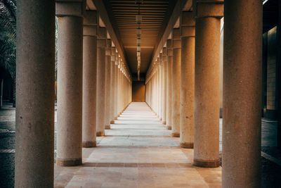 Empty colonnade amidst columns in building