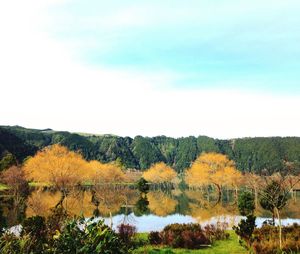 Scenic view of landscape against sky