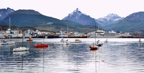 Sailboats moored at harbor against sky