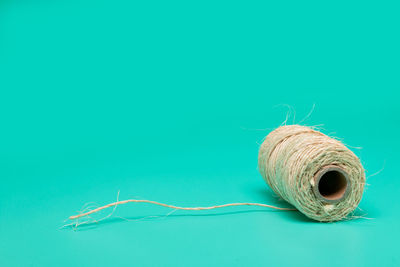 Close-up of feather against blue background