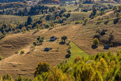 High angle view of trees on land