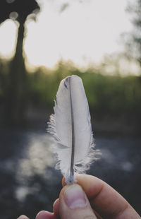 Close-up of hand holding feather against blurred background