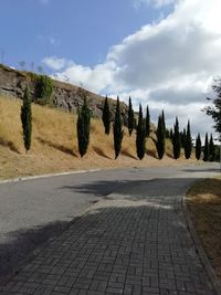 Road by trees against sky in city