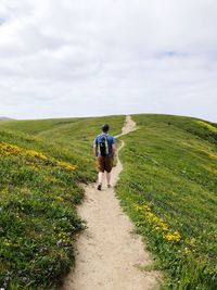 Rear view of men walking on trail